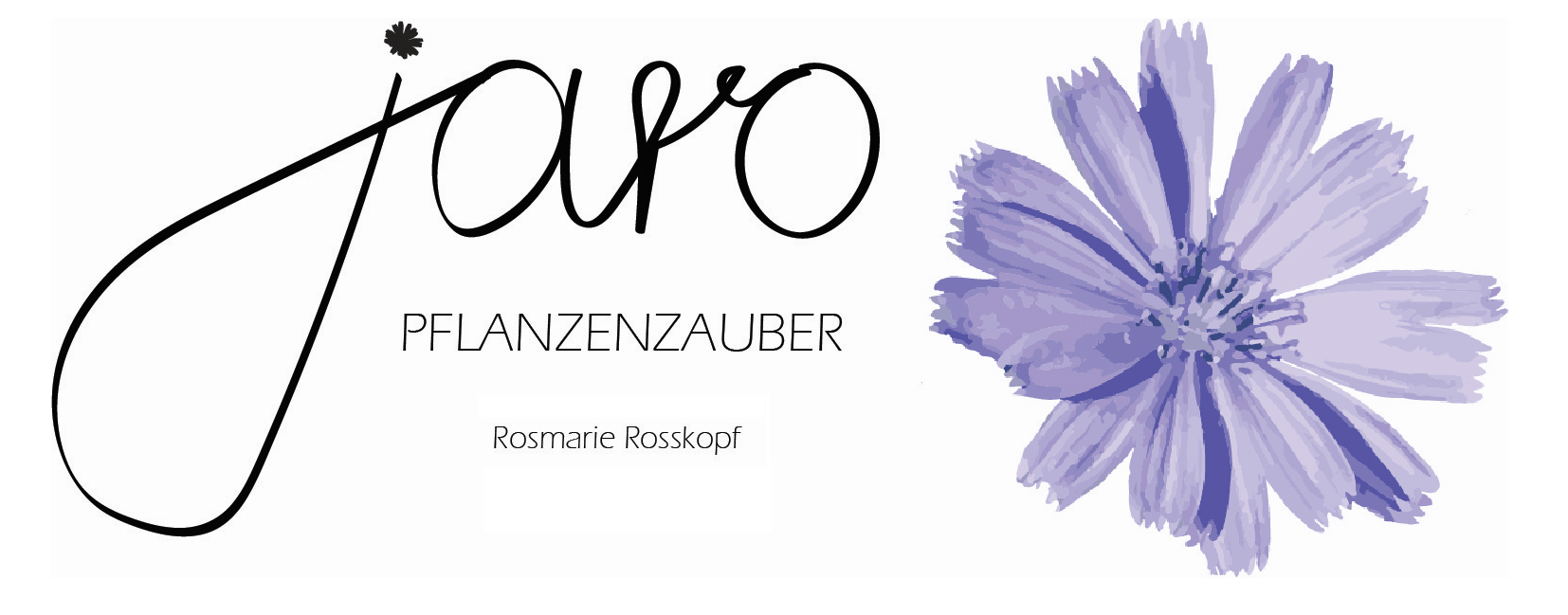 JaRo Pflanzenzauber Logo mit Wegwarte